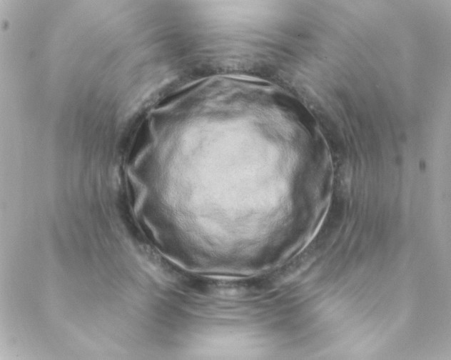 X0000088660746200706152032