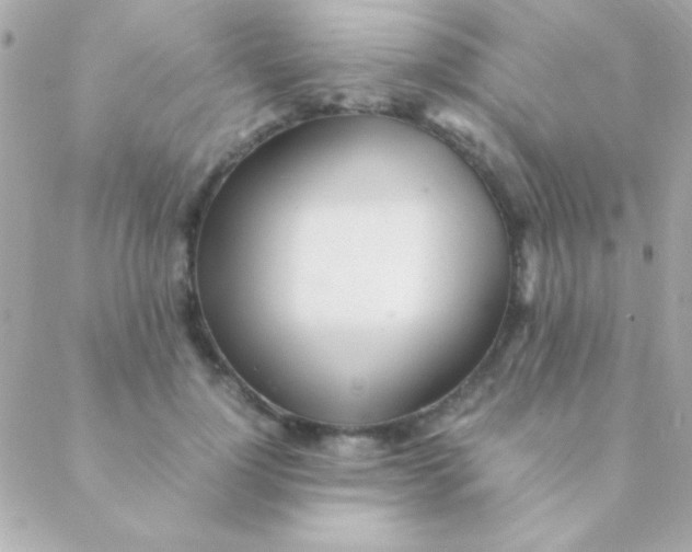 X0000088660748200706152032