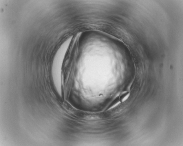 X0000088660749200706152032
