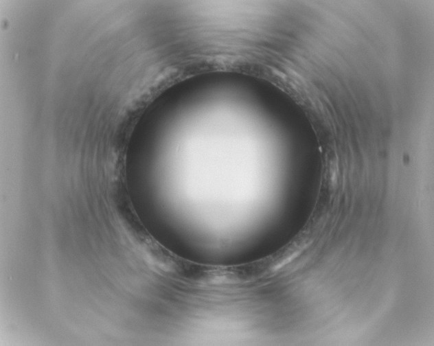 X0000088660750200706152032