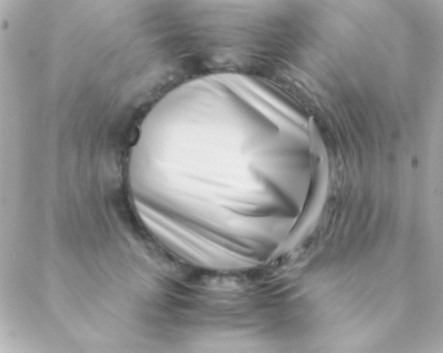 X0000088660751200706152032