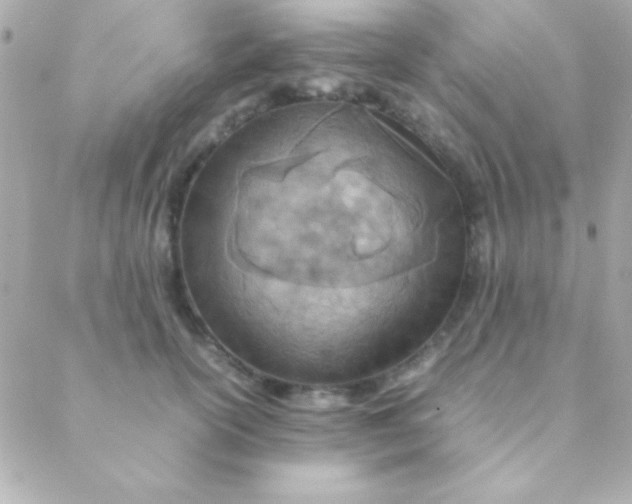 X0000088660754200706152032