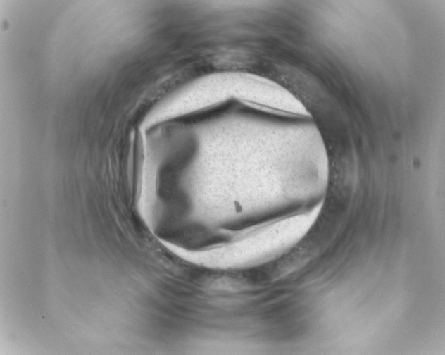 X0000088660755200706152032