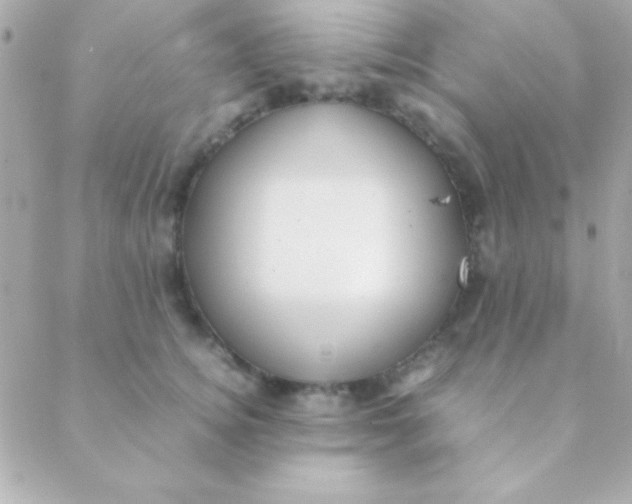 X0000088660756200706152032