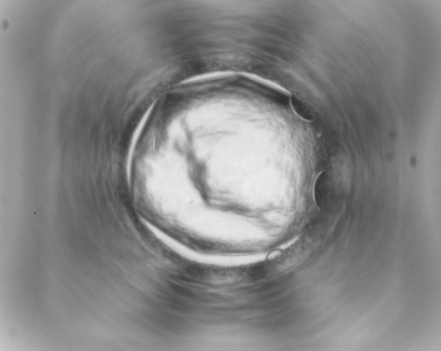 X0000088660757200706152032