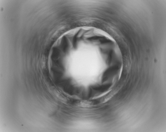 X0000088660758200706152032