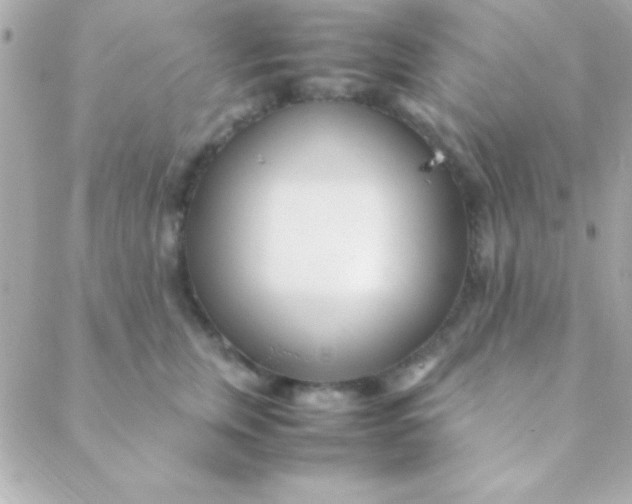 X0000088660759200706152032