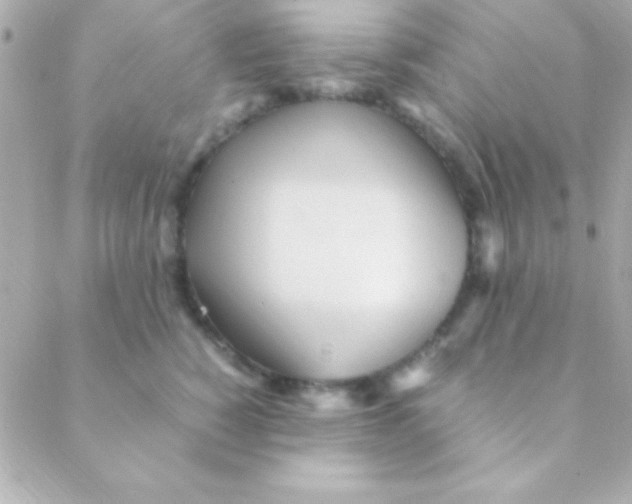 X0000088660760200706152032