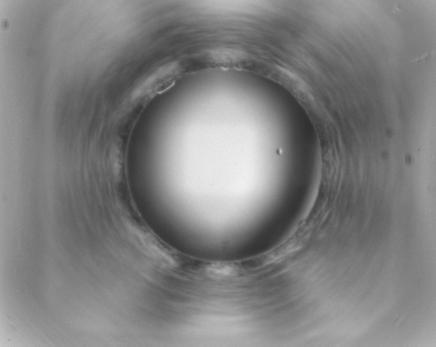 X0000088660762200706152032