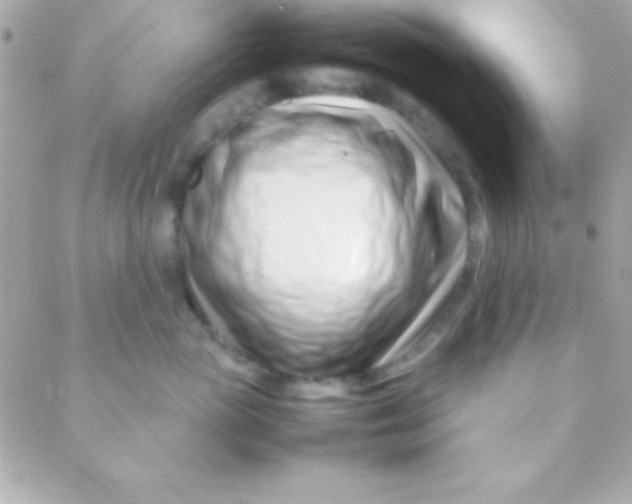 X0000088660765200706152032