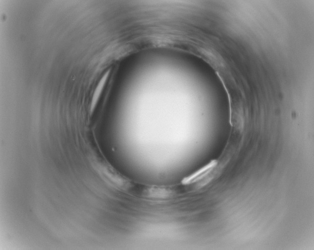 X0000088660766200706152032