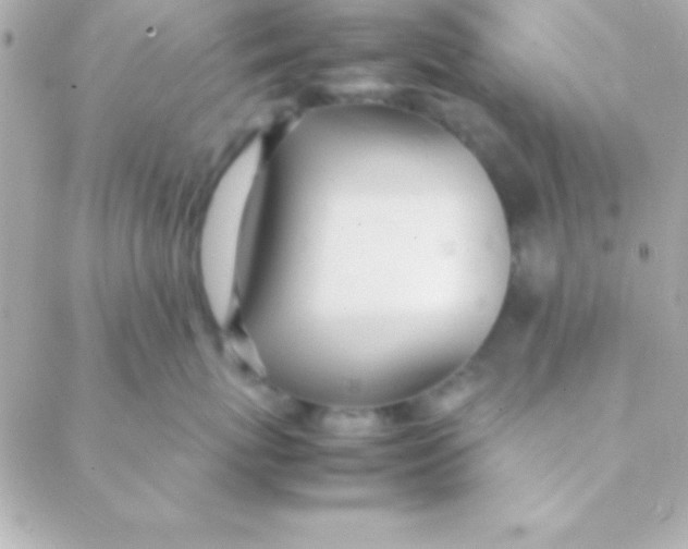 X0000088660767200706152032