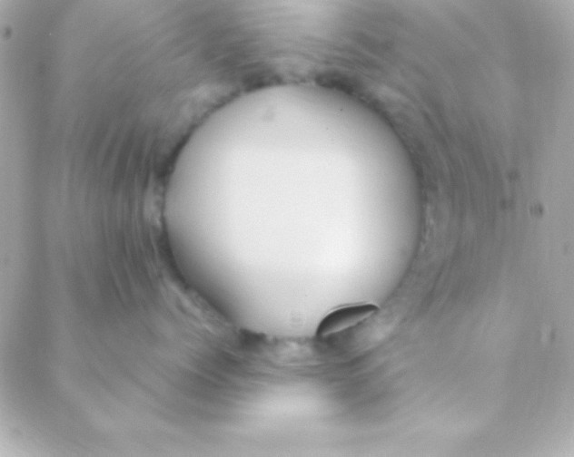 X0000088660768200706152032