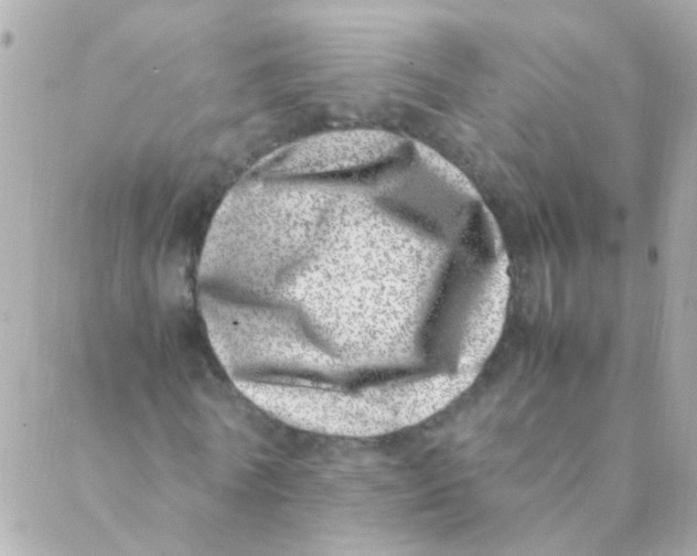 X0000088660770200706152031