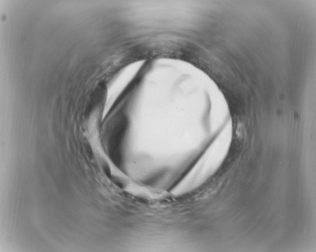 X0000088660771200706152031