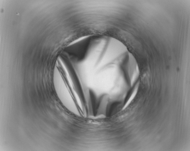 X0000088660772200706152031