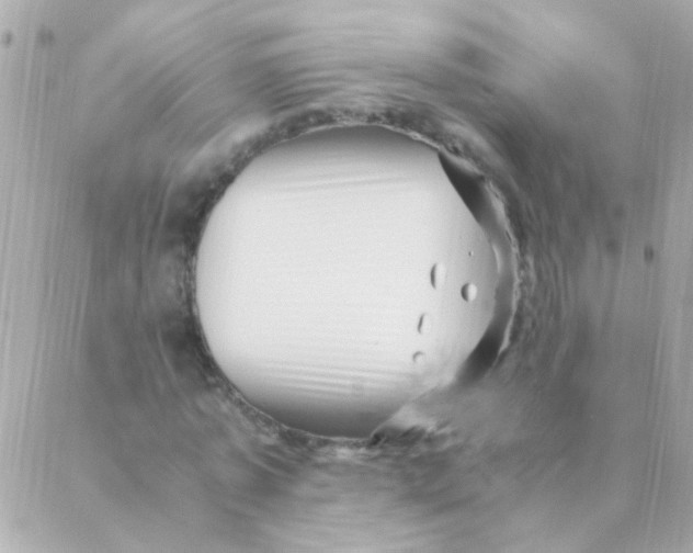 X0000088660773200706152031