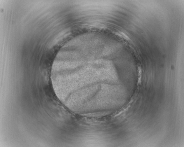 X0000088660774200706152031