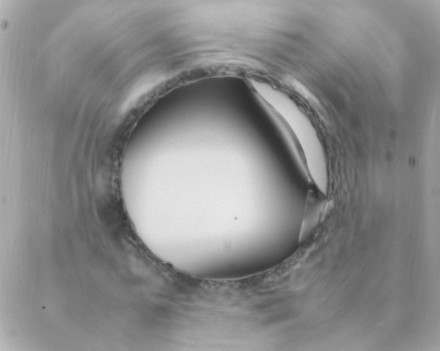 X0000088660775200706152031