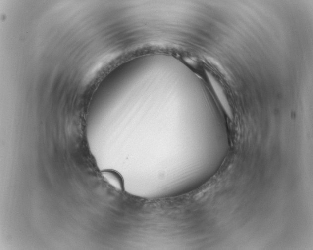 X0000088660776200706152031