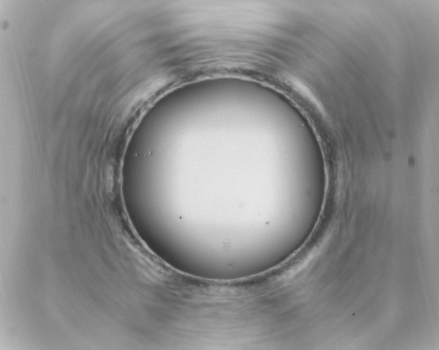 X0000088660777200706152031