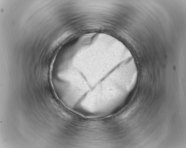 X0000088660778200706152031