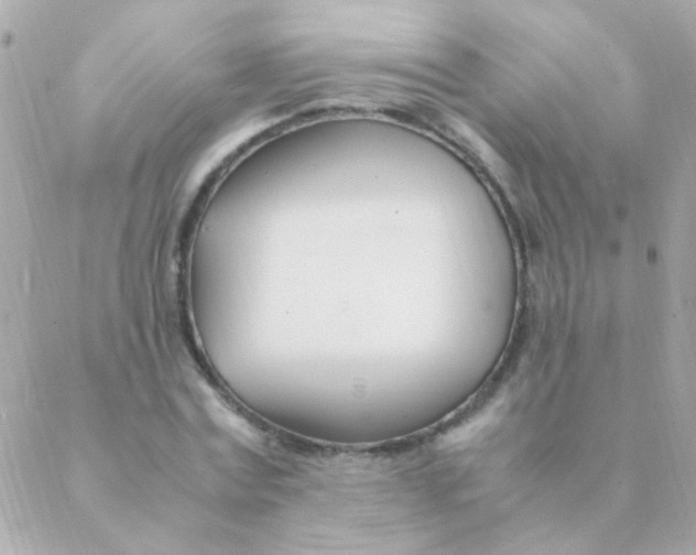 X0000088660779200706152031