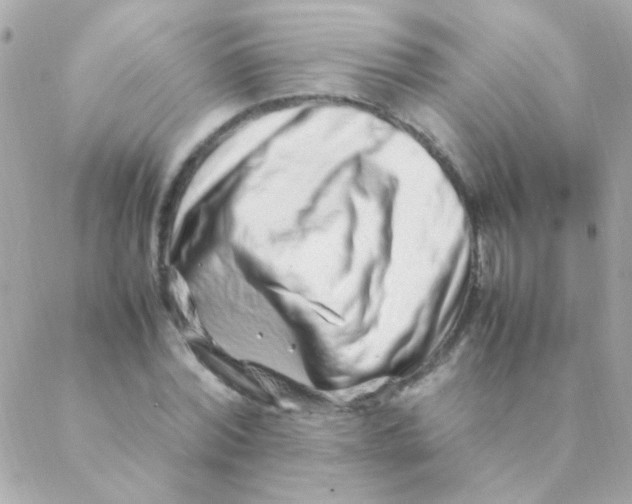 X0000088660780200706152031