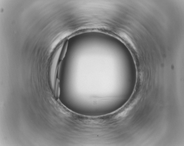 X0000088660781200706152031