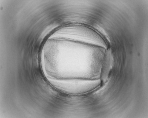 X0000088660782200706152031