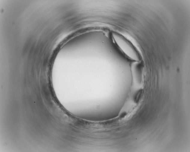 X0000088660783200706152031