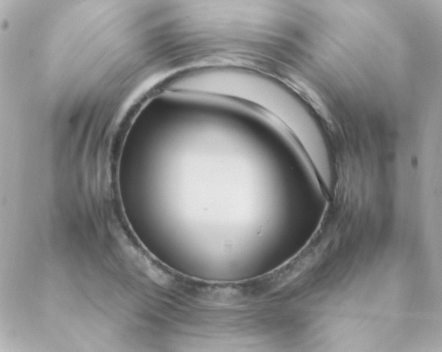 X0000088660784200706152031