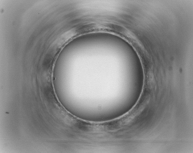 X0000088660785200706152031