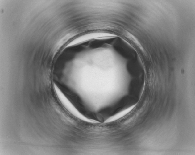 X0000088660786200706152031