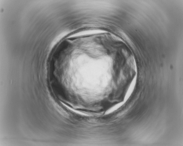 X0000088660787200706152031