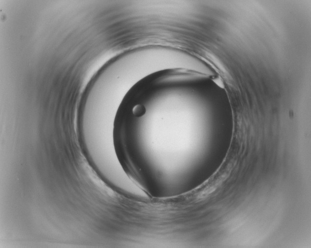 X0000088660788200706152031