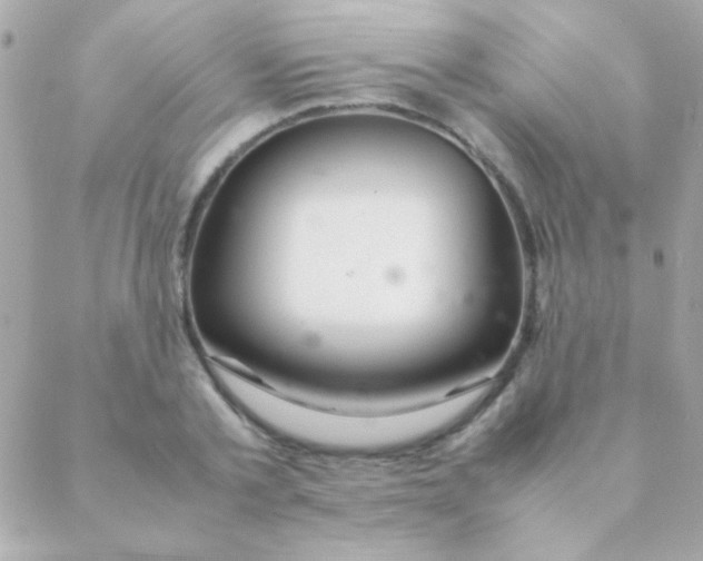 X0000088660789200706152031