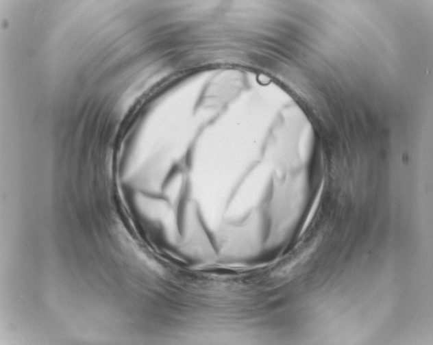 X0000088660790200706152031