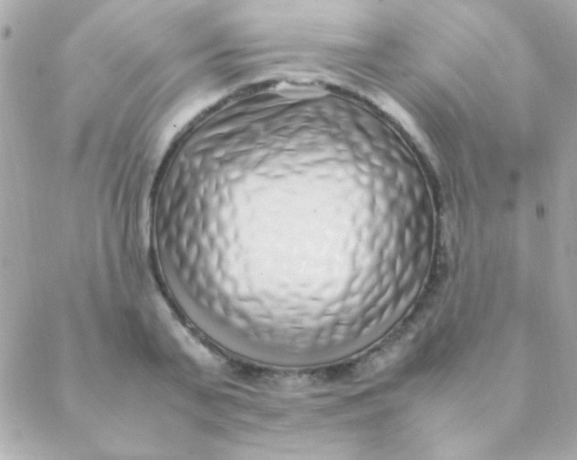 X0000088660791200706152031