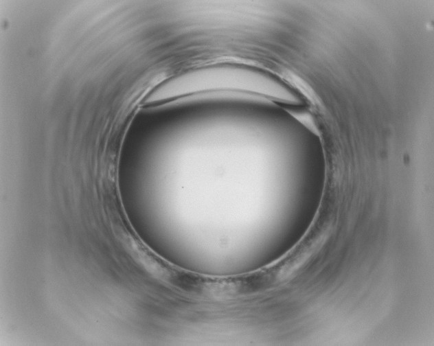 X0000088660793200706152031