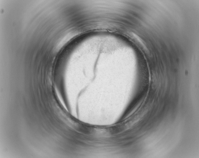 X0000088660794200706152031