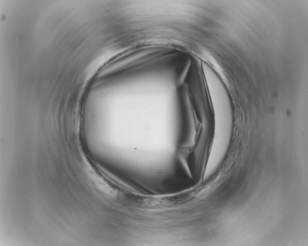 X0000088660795200706152031