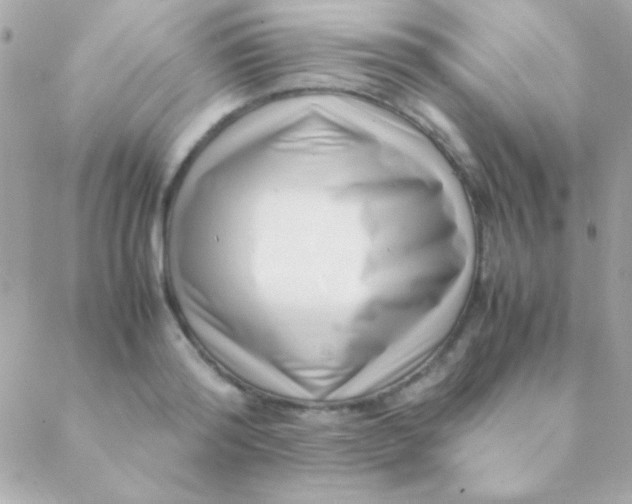 X0000088660796200706152031