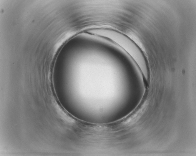 X0000088660797200706152031