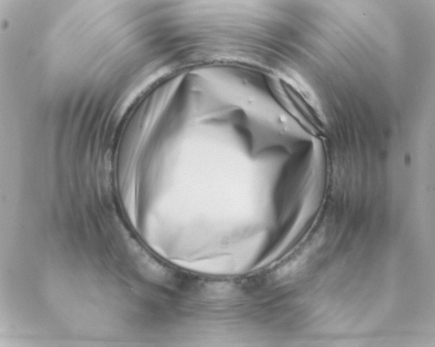 X0000088660798200706152031