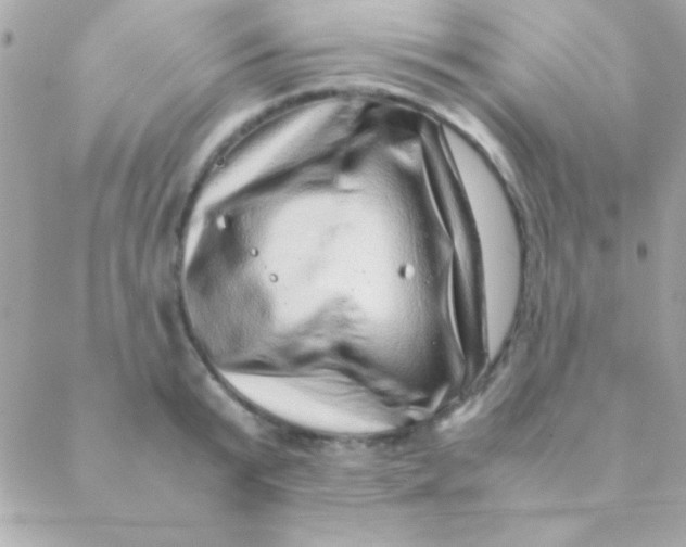 X0000088660799200706152031