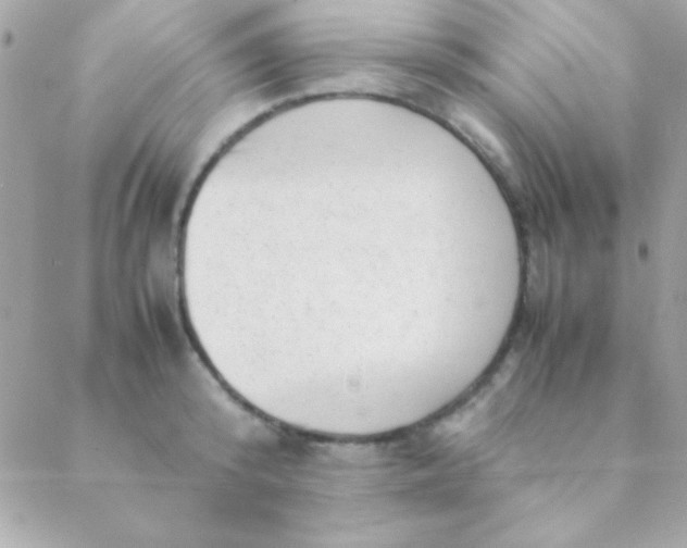 X0000088660800200706152031