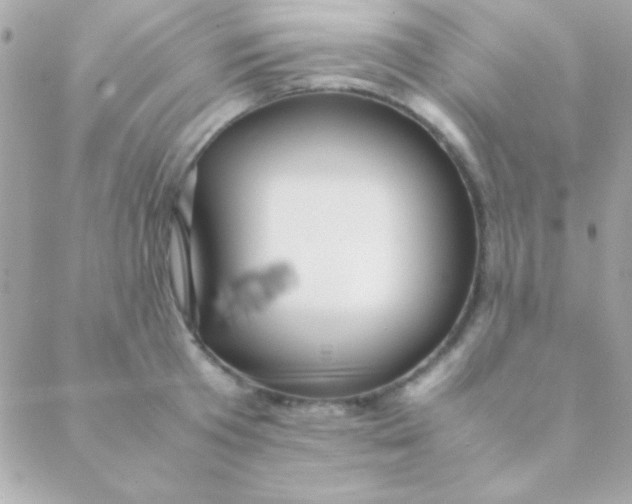 X0000088660801200706152031