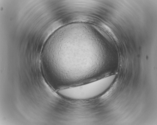 X0000088660802200706152031