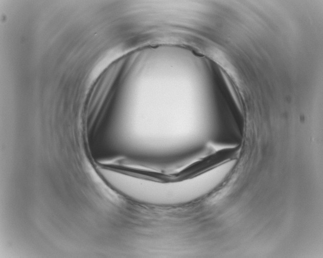 X0000088660803200706152031